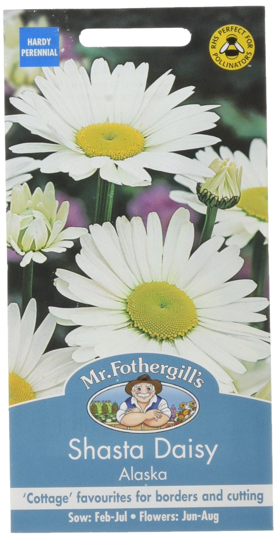Mr Fothergill's Shasta Daisy Alaska