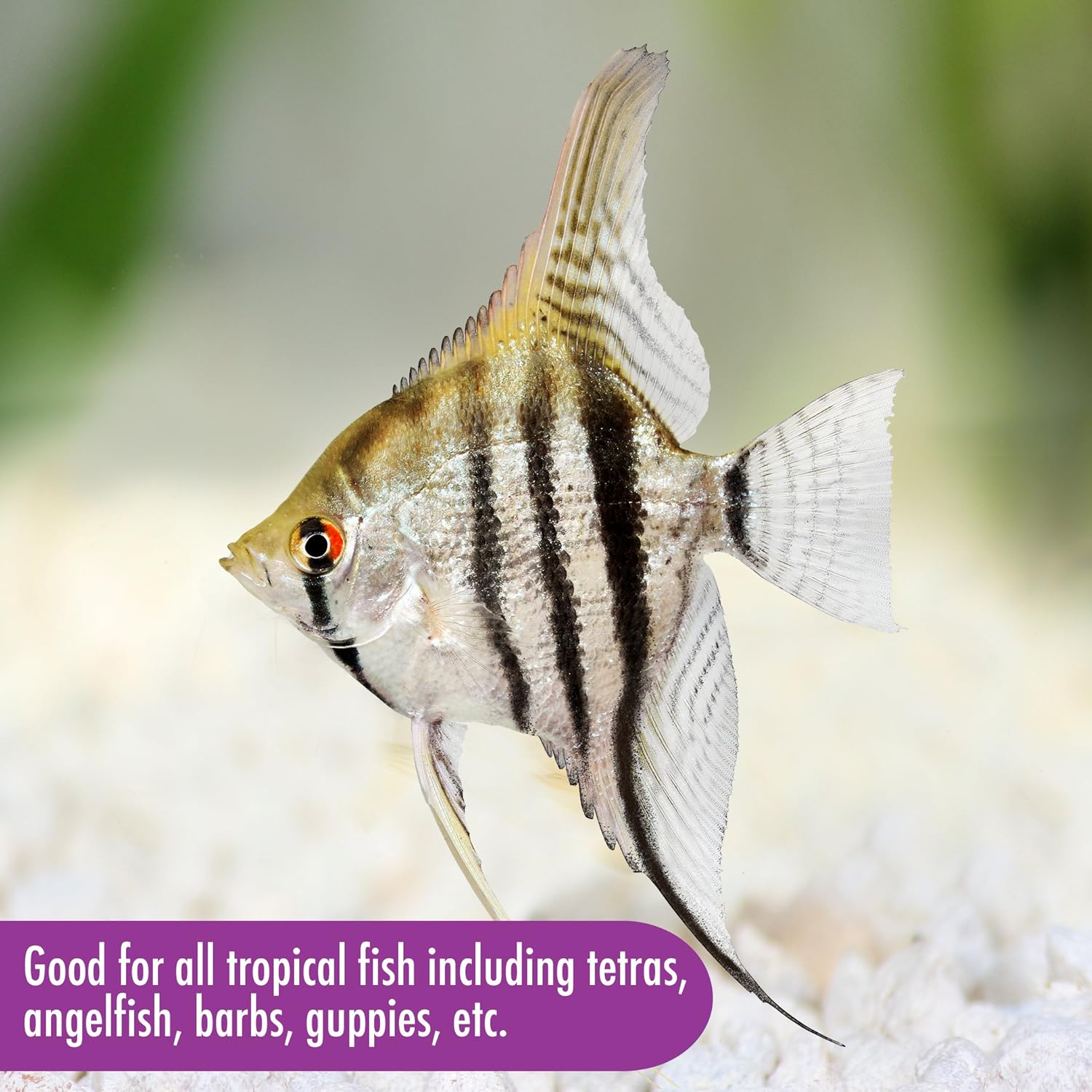 aquarian fish flakes