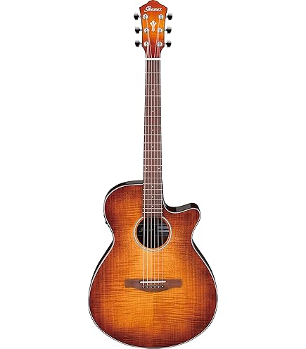 Amazon.com: Ibanez PA230E Acoustic-Electric Guitar - Natural Satin