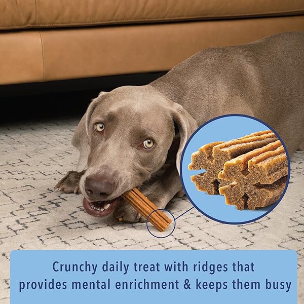 ANGELS’ EYES SEA STICKS MULTI-BENEFIT DAILY DOG TREATS WITH BROWN SEAWEED GUT HEALTH & METABOLIC SUPPORT GRAIN-FREE, GLUTEN-FREE, PLANT-BASED NORTH SEA MEDIUM 12CT