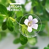 ALPHA01 Organic Bacopa Monnieri 7500mg 100mg Bacosesides 90 Caps view 4