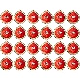 SATVIK 24 Pc Clay Diya Set with Assorted Shubh Labh Stickers | Natural Terracotta Oil Lamps for Diwali, Navratri, Pooja &amp; Home D&eacute;cor