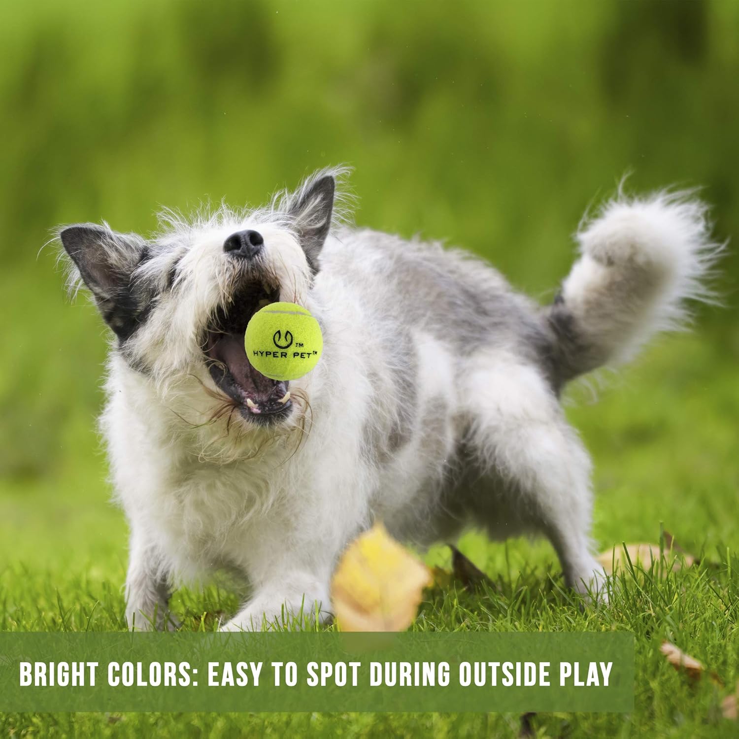 Pet Supplies : Pet Toy Balls : Hyper Pet Mini Tennis Balls for Dogs, Pet Safe Dog Toys for Exercise & Training, Pack of 4, Green : 