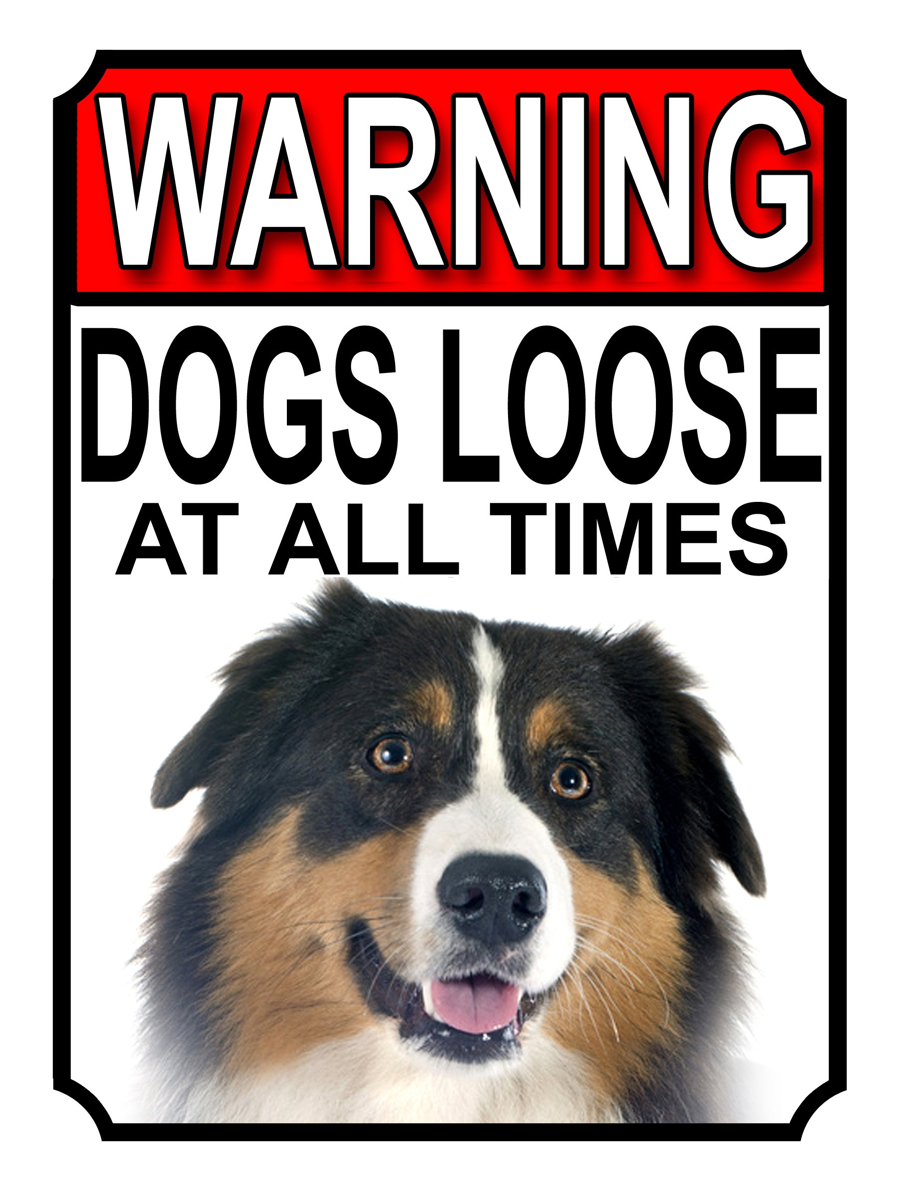 SHAWPRINT WARNING DOGS LOOSE AT ALL TIMES METAL GATE SIGN AUSTRALIAN CATTLE DOG 200MM X 150MM (1240H1) — image 1