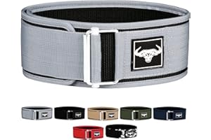 IBRO Quick Locking Premium Weight Lifting Belt - Back Support for Powerlifting, Cross Training & Gym Bodybuilding - 4 Inch Nylon Men and Women with Metal Buckle for Core Stability