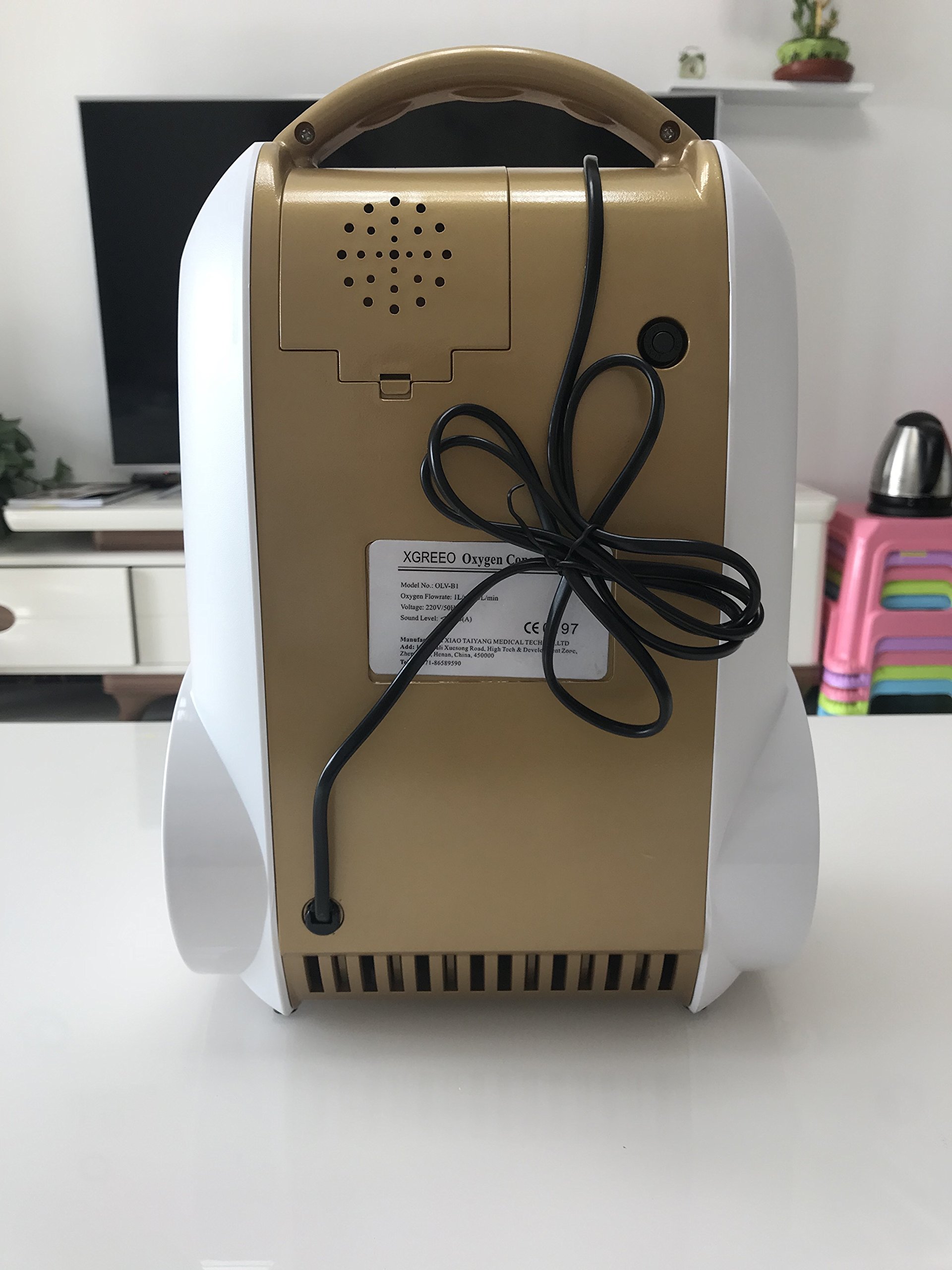 COXTOD Oxygen Bar Machines Mini Portable Oxygen Concentrator Air