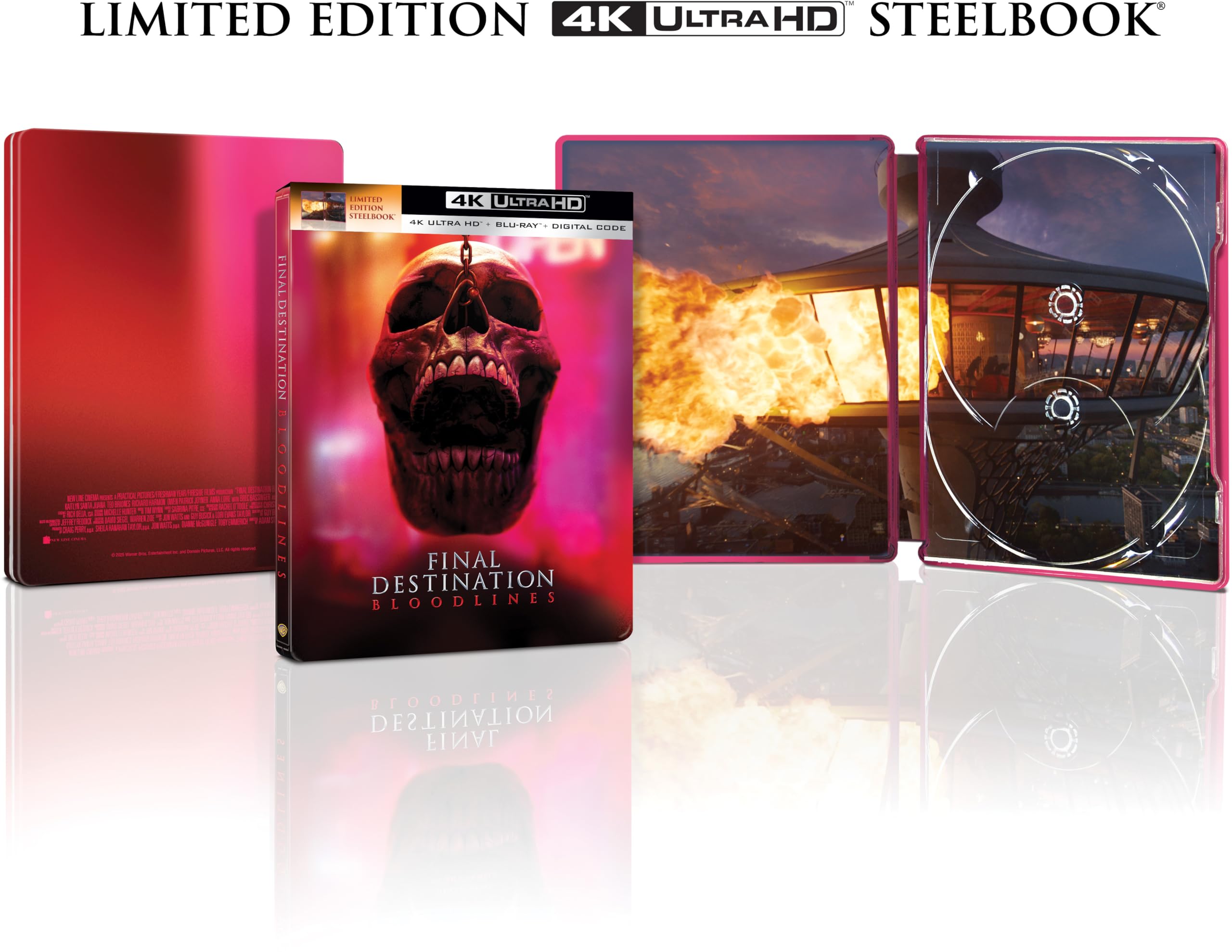 Final Destination: Bloodlines - Limited Edition Steelbook (4K Ultra HD + Blu-ray + Digital) Final Destination: Bloodlines - Limited Edition Steelbook (4K Ultra HD + Blu-ray + Digital) 4K Blu-ray DVD