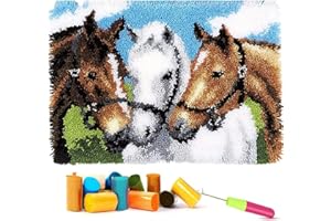 EMISTEM Latch Hook Kits for Adults - DIY Latch Hook Rug Kits for Kids, Crochet Kit for Beginners, Rug Making Kits with Printed Canvas, Gift Packaging. (Three Horses,15x21)