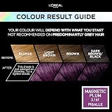 L'Oréal Paris Preference Vivids Magnetic Plum 3.16 Hair Colour 1 Pack view 2
