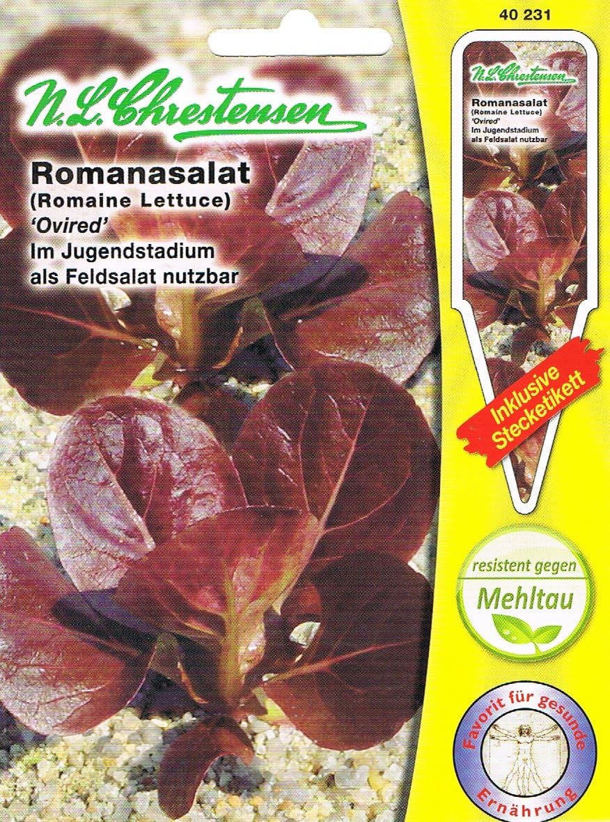 Romanasalat Ovired, rot (Port. inkl. Stecketikett)
