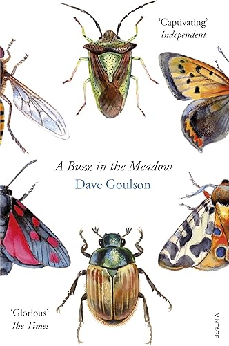 Download A Buzz in the Meadow PDF