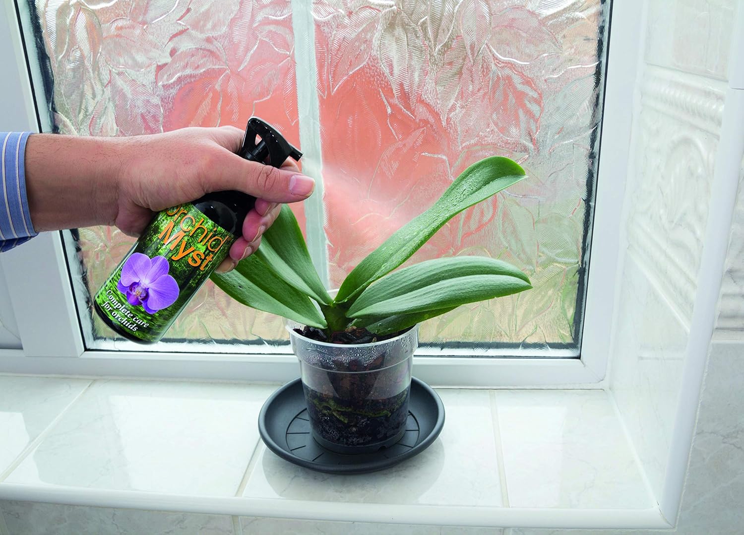 Orchid Myst Spray 100ml - Image 5