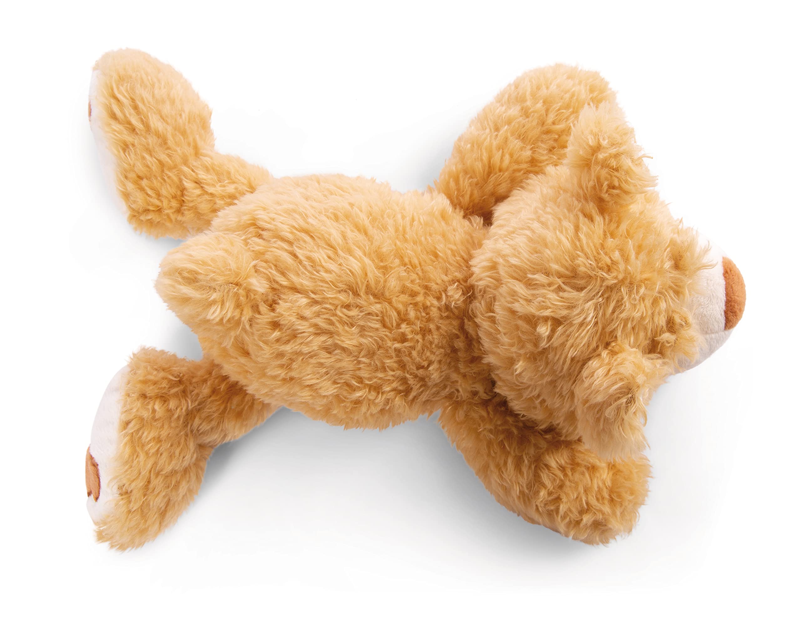 NICI Kuscheltier Bär Mielo 20 cm – Teddybär aus weichem Plüsch, niedliches Plüschtier zum Kuscheln und Spielen, Stofftier für Kinder & Erwachsene, 48777, beige 4