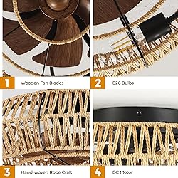 Mcestna Caged Ceiling Fan with Lights - 20 Inch