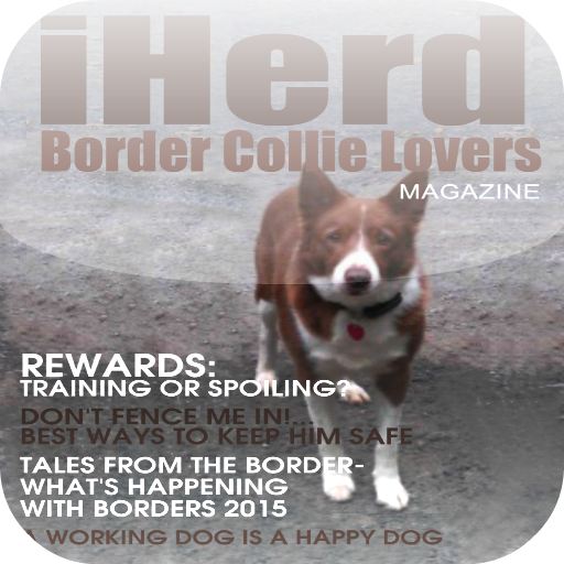 iHerd:Border Collie Lovers magazine