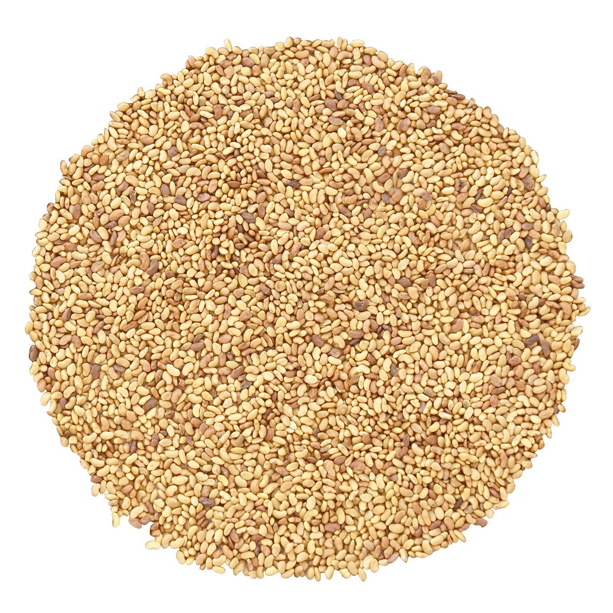 Alfalfa Seeds, 1 Pound - For Growing Sprouts, Kosher: Grocery & Gourmet Food