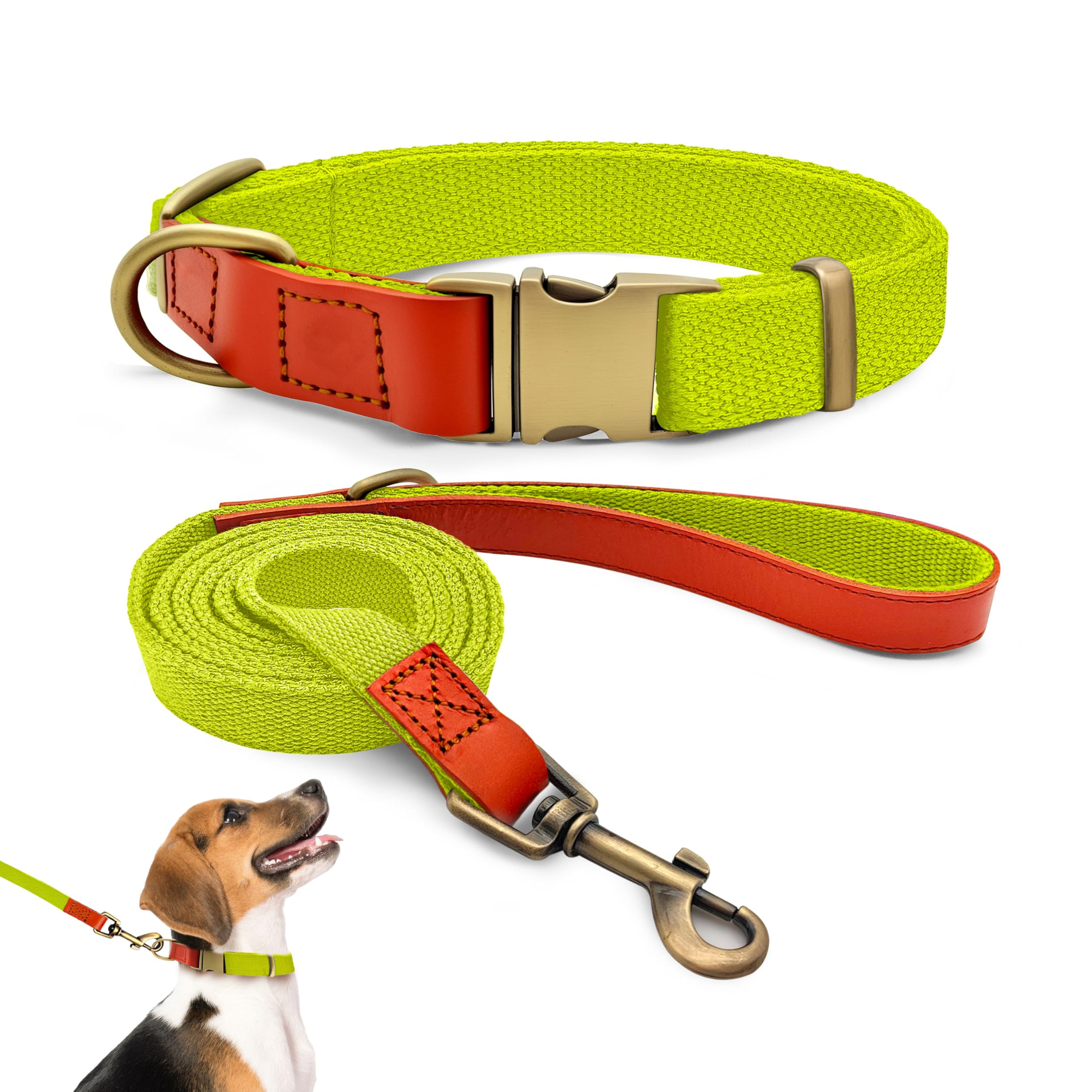 QRDA Dog Collar and Lead Set Fluorescent Yellow Personalized Collar Adjustable Tactical Belt for Small Dogs Medium Dogs, M