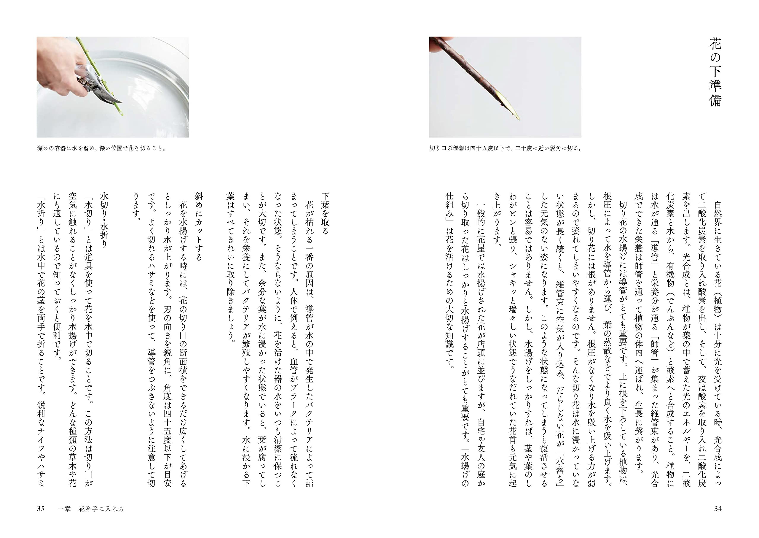 花の本 新井光史 本 通販 Amazon