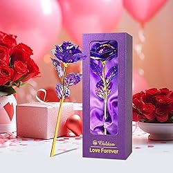 Childom Mothers Day Rose Gifts for Mom,Birthday