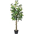 Vickerman 51" Real Touch Artificial Lemon Tree - Potted Faux Lemon Tree for Indoor Decor - Realistic Leaves and Fruit - Maintenance-Free Faux Tree for Home or Office Decoration