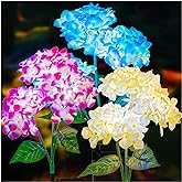 TONULAX Solar Garden Lights - 3 Pack Upgraded Version Outdoor Lights, Colorful Hydrangea Flower Light for Yard Decor, Garden Decoration, Two Lightning Modes & Enlarged Solar Panel