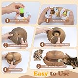 bonitacrylic Kitty Kurlz Cat Toys Indoor/Outdoor Scratcher Track Ball view 3