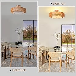 Zswanbei D19.7 Inch Boho Chandelier Lighting Flush