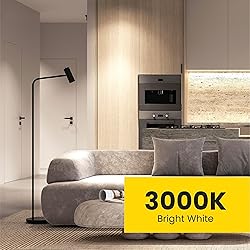 Feit Electric A19 LED Light Bulb, 60W