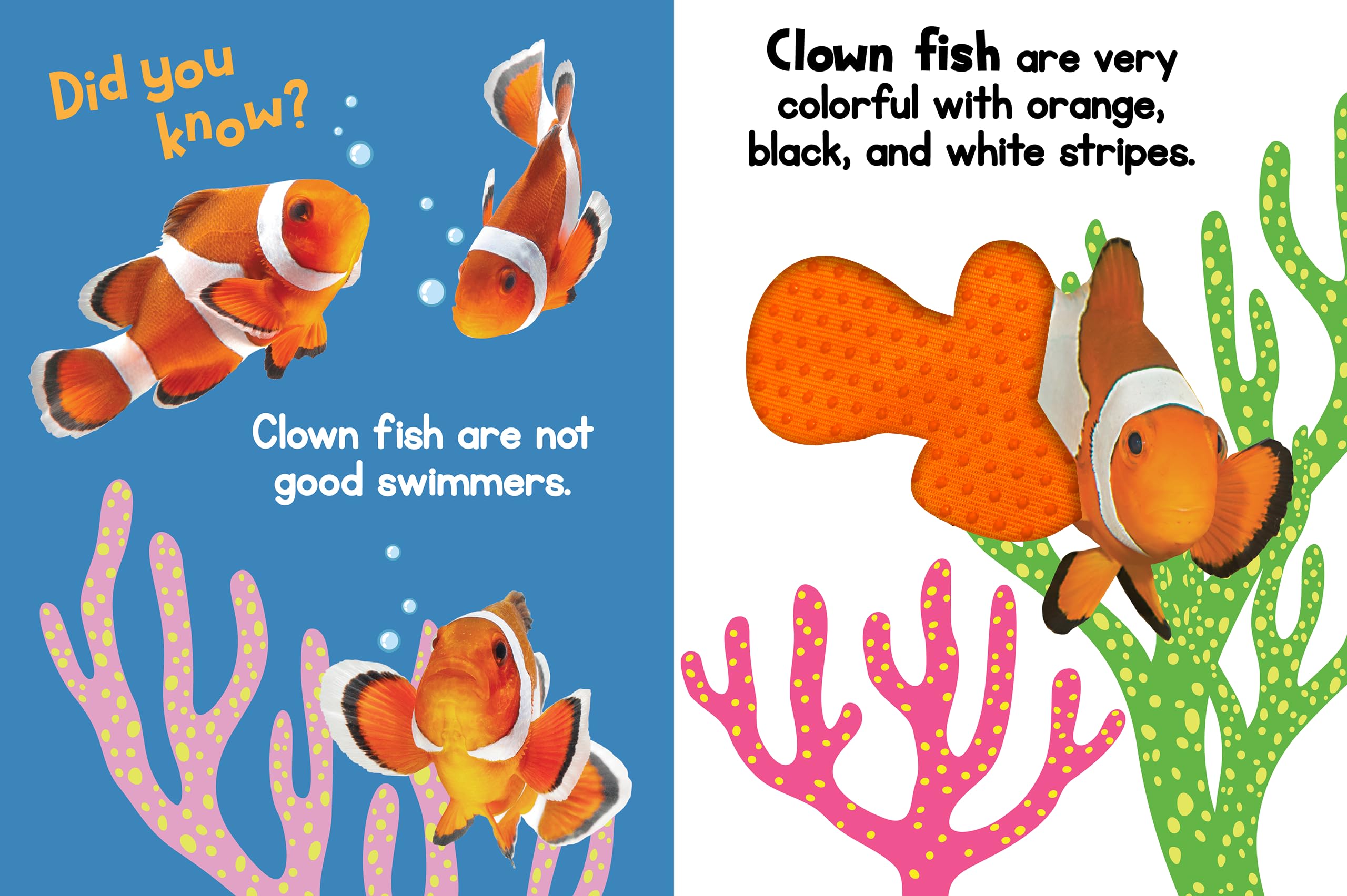 Ocean Friends - Touch and Feel Board Book - Sensory Board Book