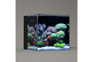 LANDEN 40C 16 Gallon Ultra Clear Glass Rimless Low Iron Aquarium Tank with Rear Filtration Chamber(Return Pump Included) for Salt and Fresh Water,15.8Wx15.8D×15.8H in(40x40x40cm) 6mm Thickness