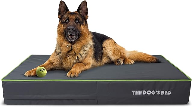german shepherd dog bed amazon