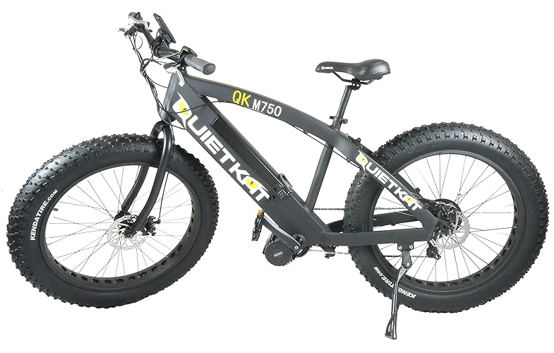QuietKat FatKat 750 W Electric Fat Tire Mountain Bike, Black, 20"/One Size