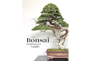 Bonsai: The Beginners Guide