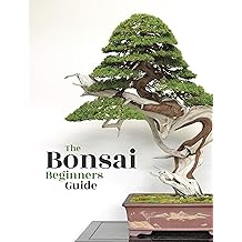 About Bonsai Empire