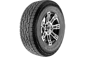 Nexen Roadian AT Pro RA8 All- Season Radial Tire-285/75R17 121S 10-ply