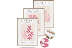HESENDOT Abstract Matisse Pink Wall Art for Living Room,Minimalist Framed Canvas Wall Decor,16x12IN Wood High Framed Design Poster for Bedroom,Bathroom 3Pack