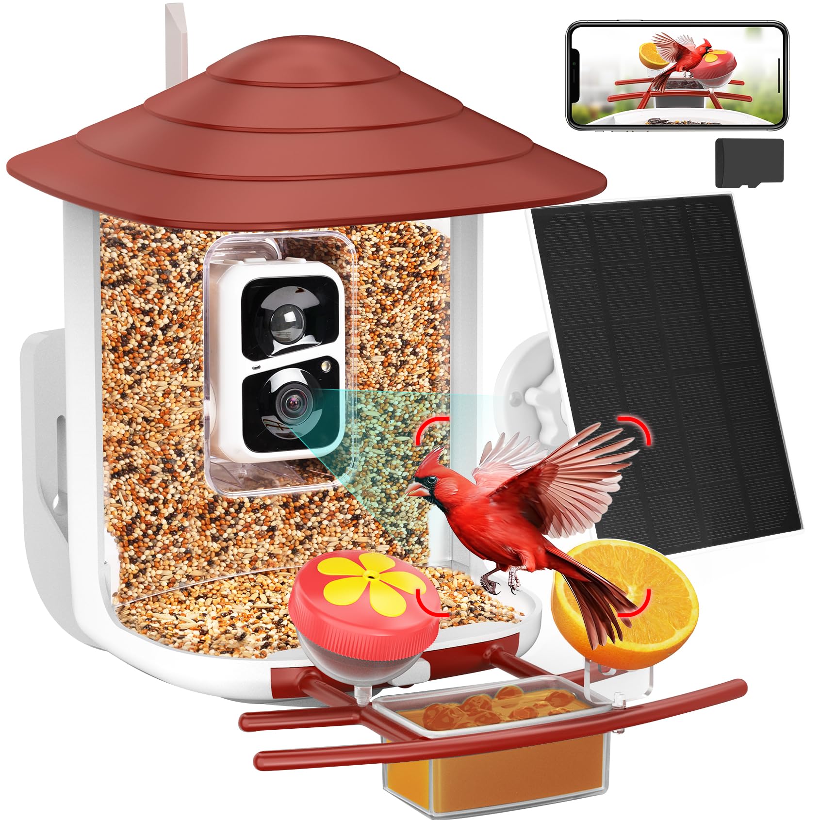 birdsnap® TUC Smart Bird Feeder with Camera 2K