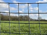 Suregreen Plastic Mesh Fencing 0.5m x 5m Green 50mm Holes Garden Netting view 4
