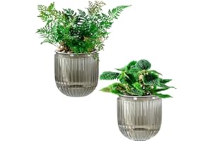 Self Watering Plant Pots for Indoor Flower Pots, 4.3 Inch 2 Pack Planters Plant Pots Indoor with Drainage for Houseplants, Su