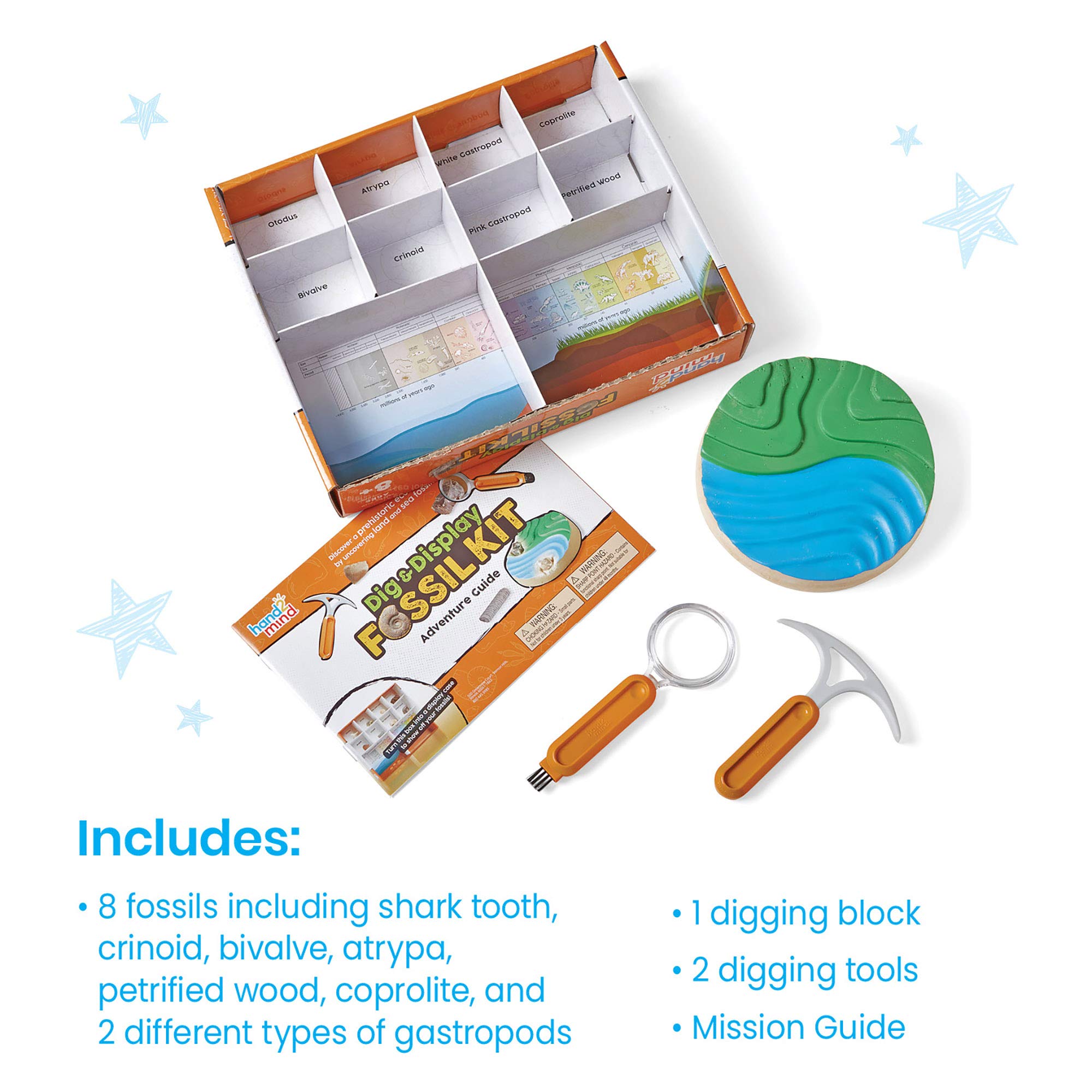 hand2mind Dig & Display Fossil Dig Kit, Fossil Display Case, 8 Real Fossils to Uncover, Dig Kits for Kids, Fossil Digging Kit for Kids, Excavation Kit for Kids, Fossil Science, Archeology Kits
