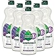 Seventh Generation Dish Soap Liquid Lavender Flower & Mint Scent Pack of 6 Dishwashing Soap Dish Detergent Liquid Soap 19 oz
