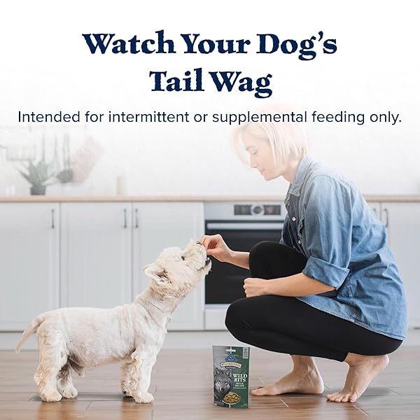 BLUE BUFFALO WILDERNESS TRAIL TREATS HIGH PROTEIN GRAIN FREE DOG BISCUITS CRUNCHY DOG TREATS, DUCK RECIPE, 10-OZ BAG