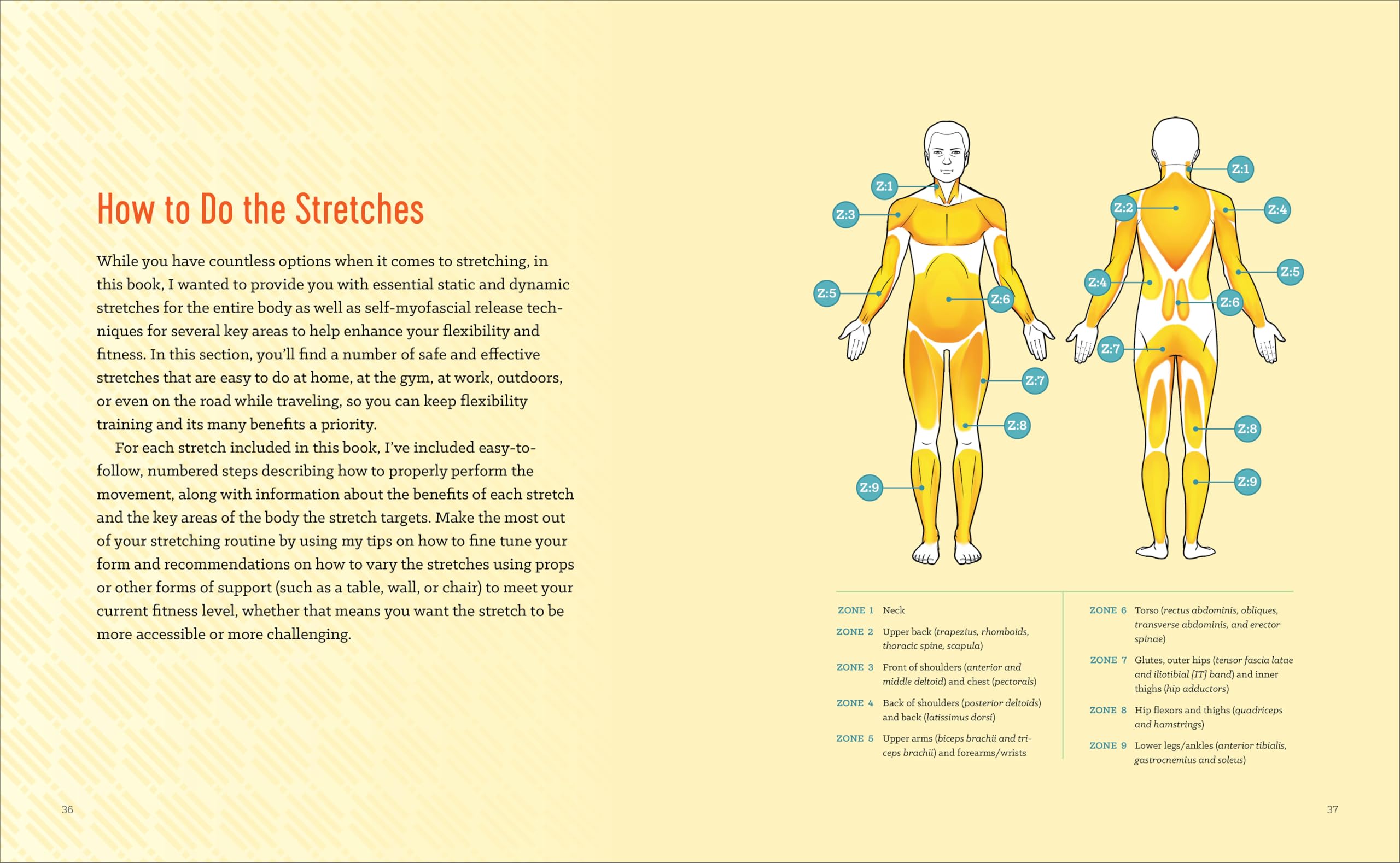 Stretching to Stay Young: Simple Workouts to Keep You Flexible, Energized, and Pain Free