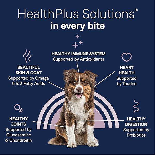 CANIDAE PURE FARM TO BOWL FREE-RANGE BISON, LENTIL & CARROT, ADULT, GRAIN-FREE DRY DOG FOOD, 10LB
