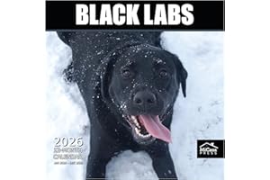 MICASA PRESS Black Labs 2026 Wall Calendar 12 Month | 12" x 24" Open | Thick & Sturdy Paper | Holiday Gift | Cute Labrador Retriever Puppy Dog Calendar 2026