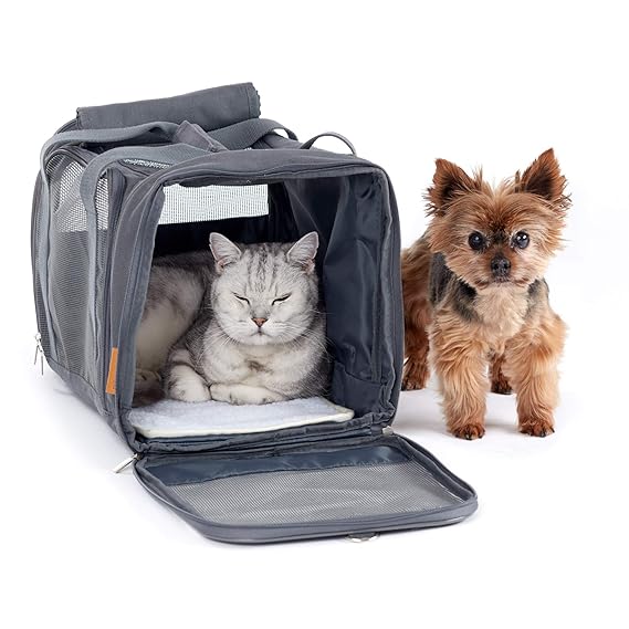 PiuPet® Katzentransportbox - Ideal für Katzen & kleine Hunde - Stabile Transporttasche mit großem Blickfeld - Transportbox Ka