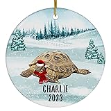 Santa Hat and Scarf Welcome Winter Russian Tortoise