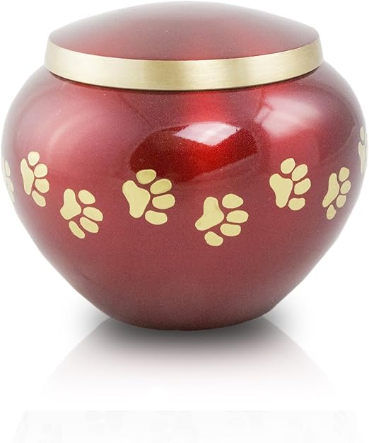 dog urns for ashes amazon