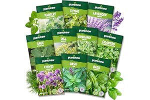 PLANTMEW 10 Herb Seeds Variety Pack - 7,000+ Heirloom Non-GMO Seeds - Basil, Cilantro, Lavender, Parsley, Dill, Thyme, Chives, Oregano, Sage, Herb Garden Kit for Planting Home Garden, Gardening Gift