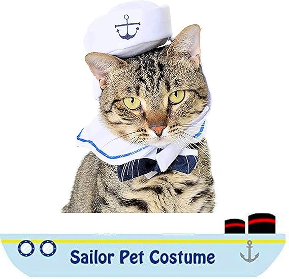 dog sailor outfit
